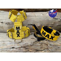 KIT PEITORAL PERSONALIZADO POLIÉSTER COMUM, COLEIR... - PETSPACE