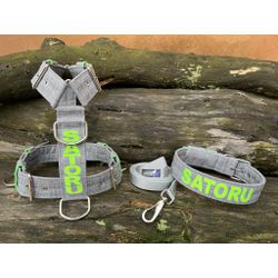 KIT PEITORAL PERSONALIZADO POLIÉSTER COMUM, COLEIR... - PETSPACE