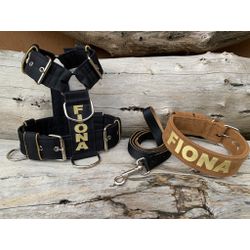 KIT PEITORAL PERSONALIZADO POLIÉSTER COMUM, COLEIR... - PETSPACE