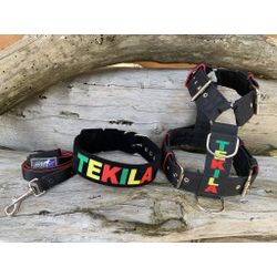 KIT PEITORAL PERSONALIZADO POLIÉSTER COMUM, COLEIR... - PETSPACE