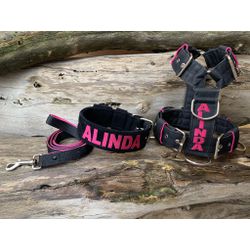 KIT PEITORAL PERSONALIZADO POLIÉSTER COMUM, COLEIR... - PETSPACE