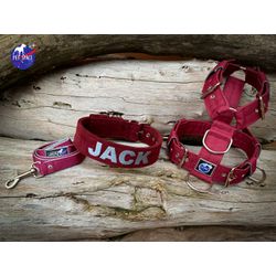 KIT PEITORAL LISO POLIÉSTER COMUM, COLEIRA PERSONA... - PETSPACE
