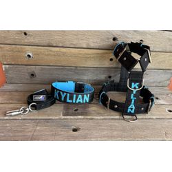 KIT PEITORAL PERSONALIZADO POLIÉSTER COMUM, COLEIR... - PETSPACE