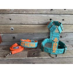 KIT PEITORAL PERSONALIZADO POLIÉSTER COMUM, COLEIR... - PETSPACE