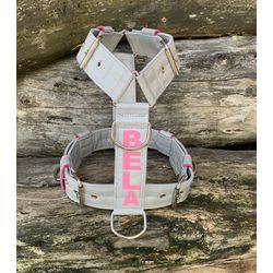 Peitoral universal personalizado poliéster premium... - PETSPACE