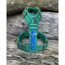 Peitoral universal personalizado poliéster premium... - PETSPACE