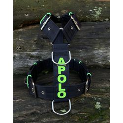 Peitoral universal personalizado poliéster premium... - PETSPACE