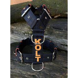 Peitoral universal personalizado poliéster premium... - PETSPACE
