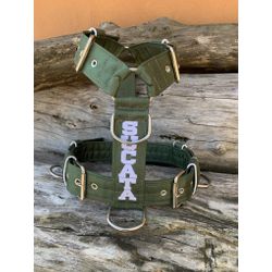 Peitoral universal personalizado poliéster premium... - PETSPACE