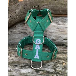 Peitoral universal personalizado poliéster premium... - PETSPACE