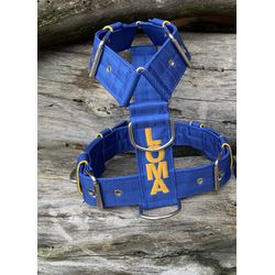 Peitoral universal personalizado poliéster premium... - PETSPACE