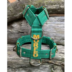 Peitoral universal personalizado poliéster premium... - PETSPACE