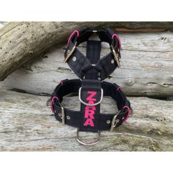Peitoral universal personalizado poliéster premium... - PETSPACE