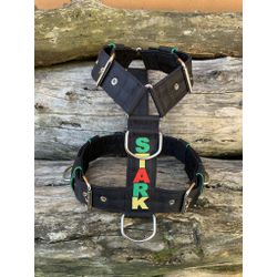 Peitoral universal personalizado poliéster premium... - PETSPACE