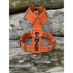 Peitoral universal personalizado poliéster premium... - PETSPACE