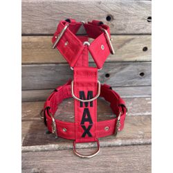 Peitoral universal personalizado poliéster premium... - PETSPACE