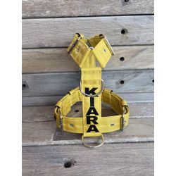 Peitoral universal personalizado poliéster premium... - PETSPACE