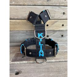 Peitoral universal personalizado poliéster comum P... - PETSPACE