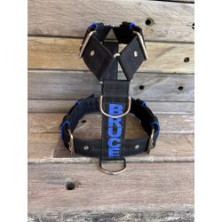 Peitoral universal personalizado poliéster comum p... - PETSPACE