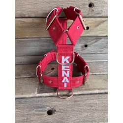 Peitoral universal personalizado poliéster comum v... - PETSPACE