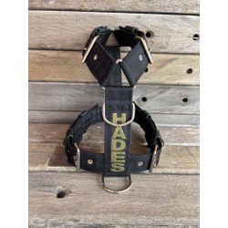 Peitoral universal personalizado poliéster premium... - PETSPACE