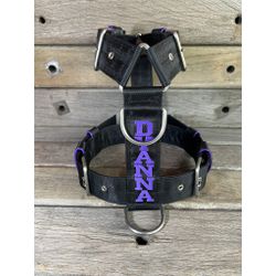 Peitoral universal personalizado poliéster premium... - PETSPACE