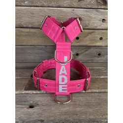 Peitoral universal personalizado poliéster premium... - PETSPACE