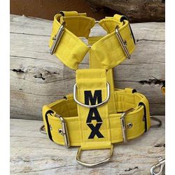Peitoral universal personalizado poliéster comum a... - PETSPACE