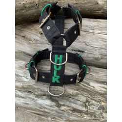 Peitoral universal personalizado poliéster comum p... - PETSPACE