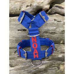 Peitoral universal personalizado poliéster comum a... - PETSPACE
