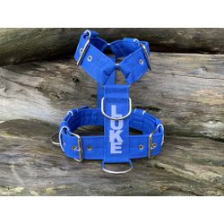 Peitoral universal personalizado poliéster comum a... - PETSPACE