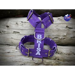 Peitoral universal personalizado poliéster comum r... - PETSPACE