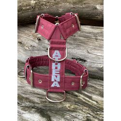 Peitoral universal personalizado poliéster comum v... - PETSPACE