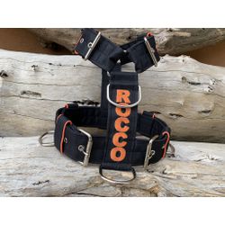 Peitoral universal personalizado poliéster comum p... - PETSPACE