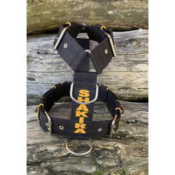 Peitoral universal personalizado poliéster comum p... - PETSPACE