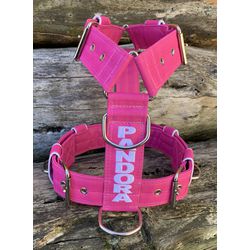 Peitoral universal personalizado poliéster comum r... - PETSPACE