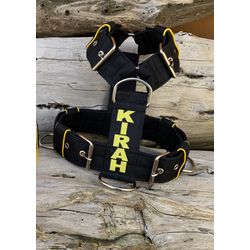 Peitoral universal personalizado poliéster comum p... - PETSPACE