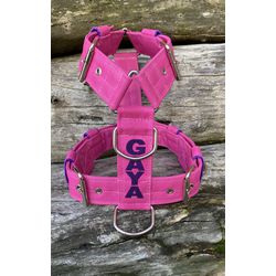 Peitoral universal personalizado poliéster comum r... - PETSPACE