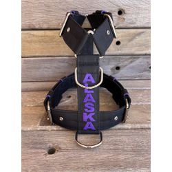 Peitoral universal personalizado poliéster comum p... - PETSPACE