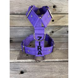 Peitoral universal personalizado poliéster comum r... - PETSPACE
