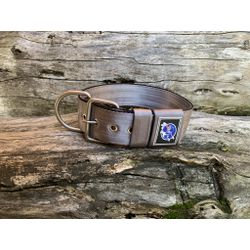 COLEIRA USO DIÁRIO 5cm cinza - 1350 - PETSPACE