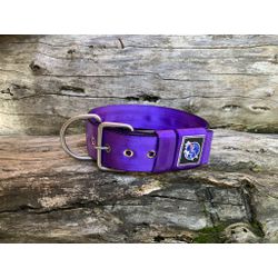 COLEIRA USO DIÁRIO 5cm roxa - 1351 - PETSPACE