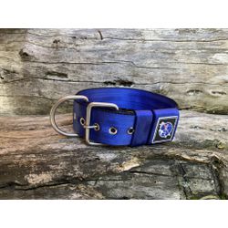 COLEIRA USO DIÁRIO 5cm azul - 1352 - PETSPACE