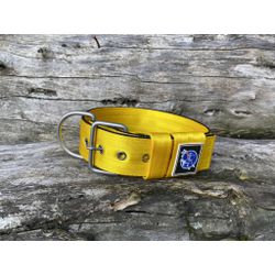 COLEIRA USO DIÁRIO 5cm amarela - 1355 - PETSPACE