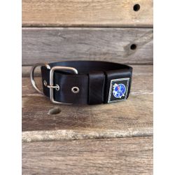 COLEIRA USO DIÁRIO 5cm preta - 1361 - PETSPACE