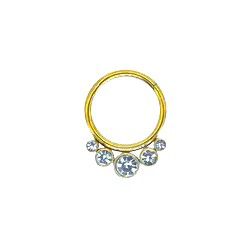 Argola Clicker Segmentada Com Pedraria , 05 Cz - ... - Pierce Boutique