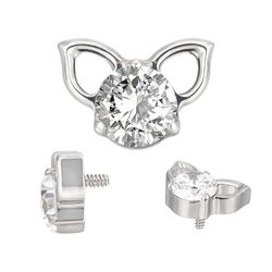  Cabeca De Gatinho cravejada Em Titanio Com Pedra ... - Pierce Boutique