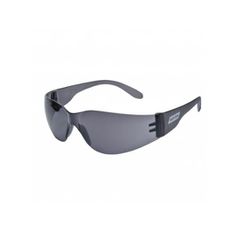 Óculos de segurança Norsafety - Norton - PinteDecore