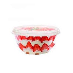 Pote Prafesta PP Bowl 0750ML C/Sobretampa-20 - Plaspel Comercial - Embalagens e Descartáveis