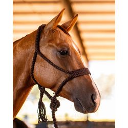 CABRESTO BOOTS HORSE - COM CABO TRANCADO DE PARACO... - PROTEC HORSE - A LOJA DOS GRANDES CAMPEÕES